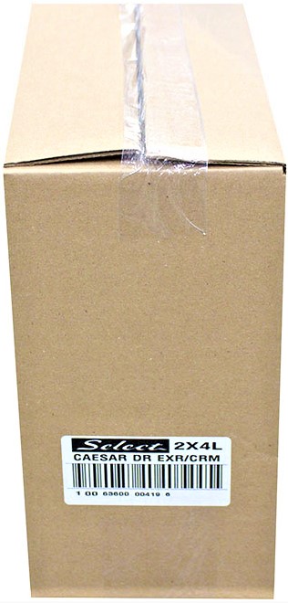Caesar Dressing Extra Creamy (2x4 L) Select